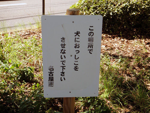 フォト
