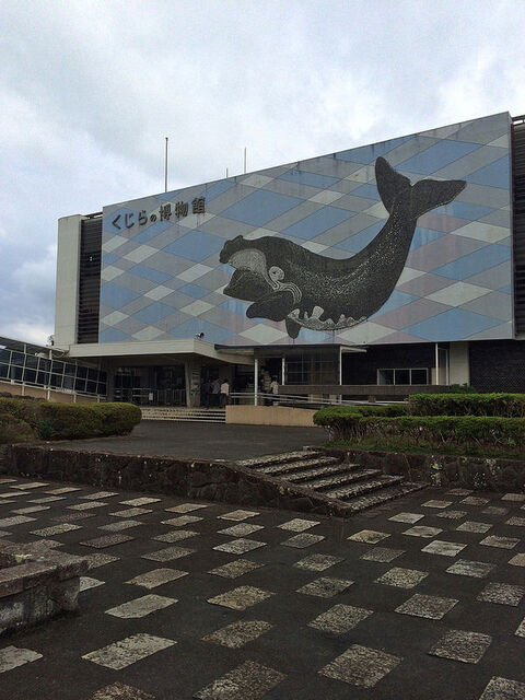 フォト
