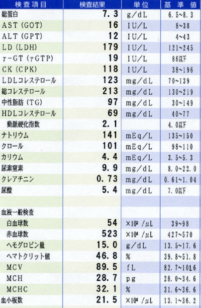 フォト