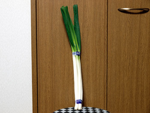 フォト
